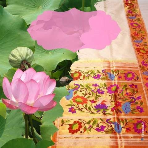 Adgaonkar Silk & Sarees brand pattern