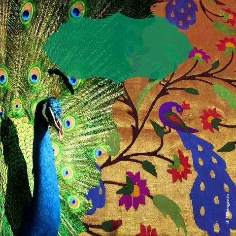 Adgaonkar Silk & Sarees brand motif