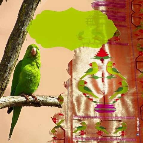 Adgaonkar Silk & Sarees brand motif
