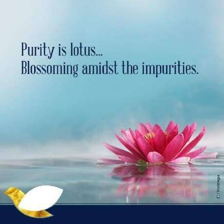 Shuddha Wellness teaser campaign post