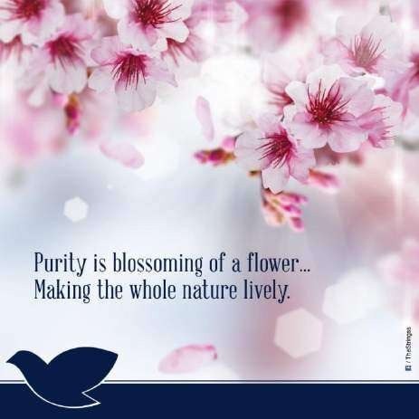 Shuddha Wellness teaser campaign post