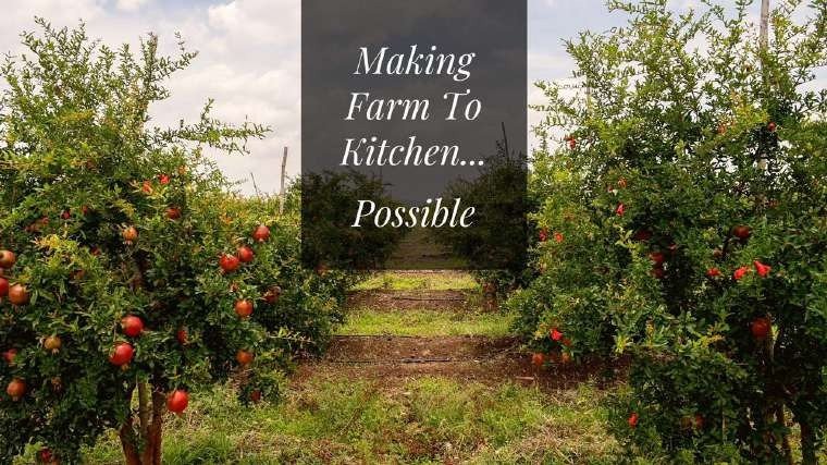 SPH Agro company profile, farm to kitchen