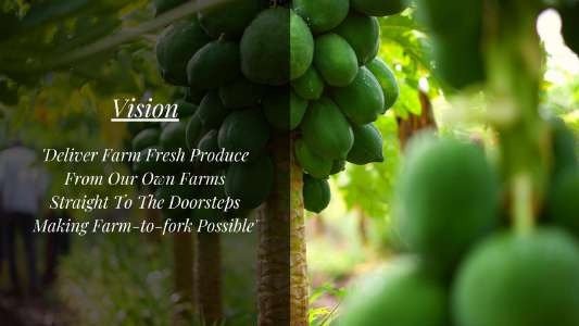 SPH Agro company profile, vision
