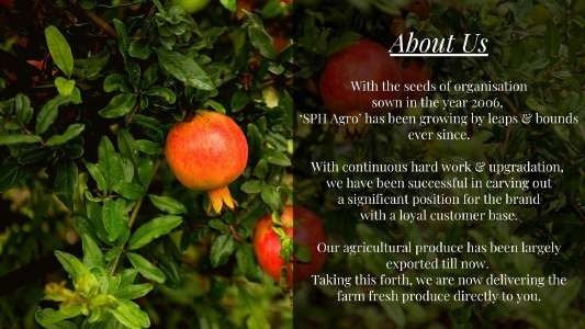 SPH Agro company profile, about us