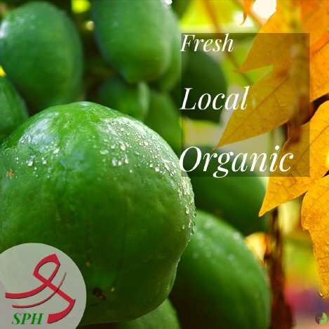 SPH Agro fresh local organic creative