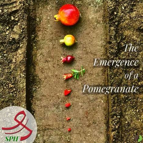 SPH Agro pomegranate creative
