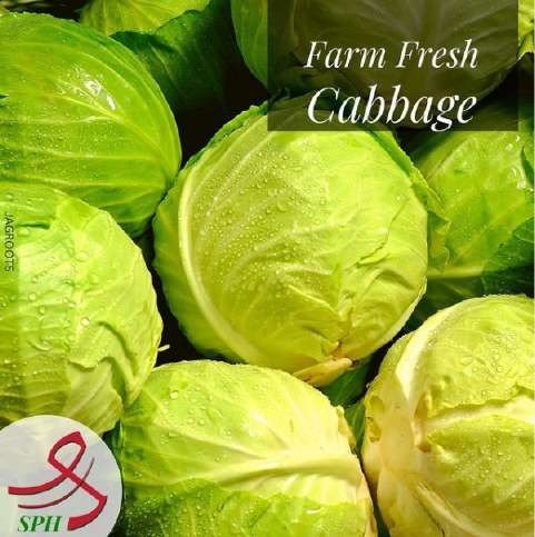 SPH Agro farm fresh cabbage creative