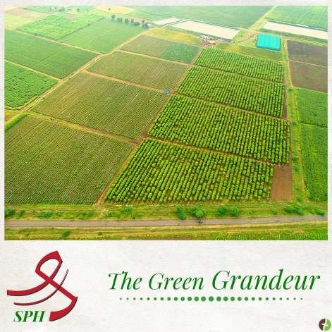 SPH Agro farm landscape creative