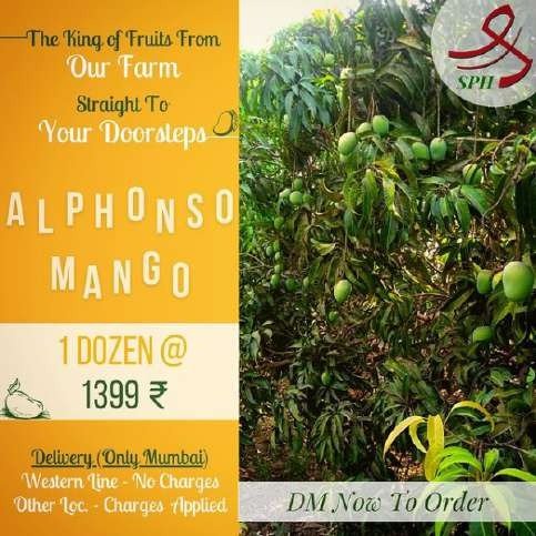SPH Agro Alphonso mango campaign