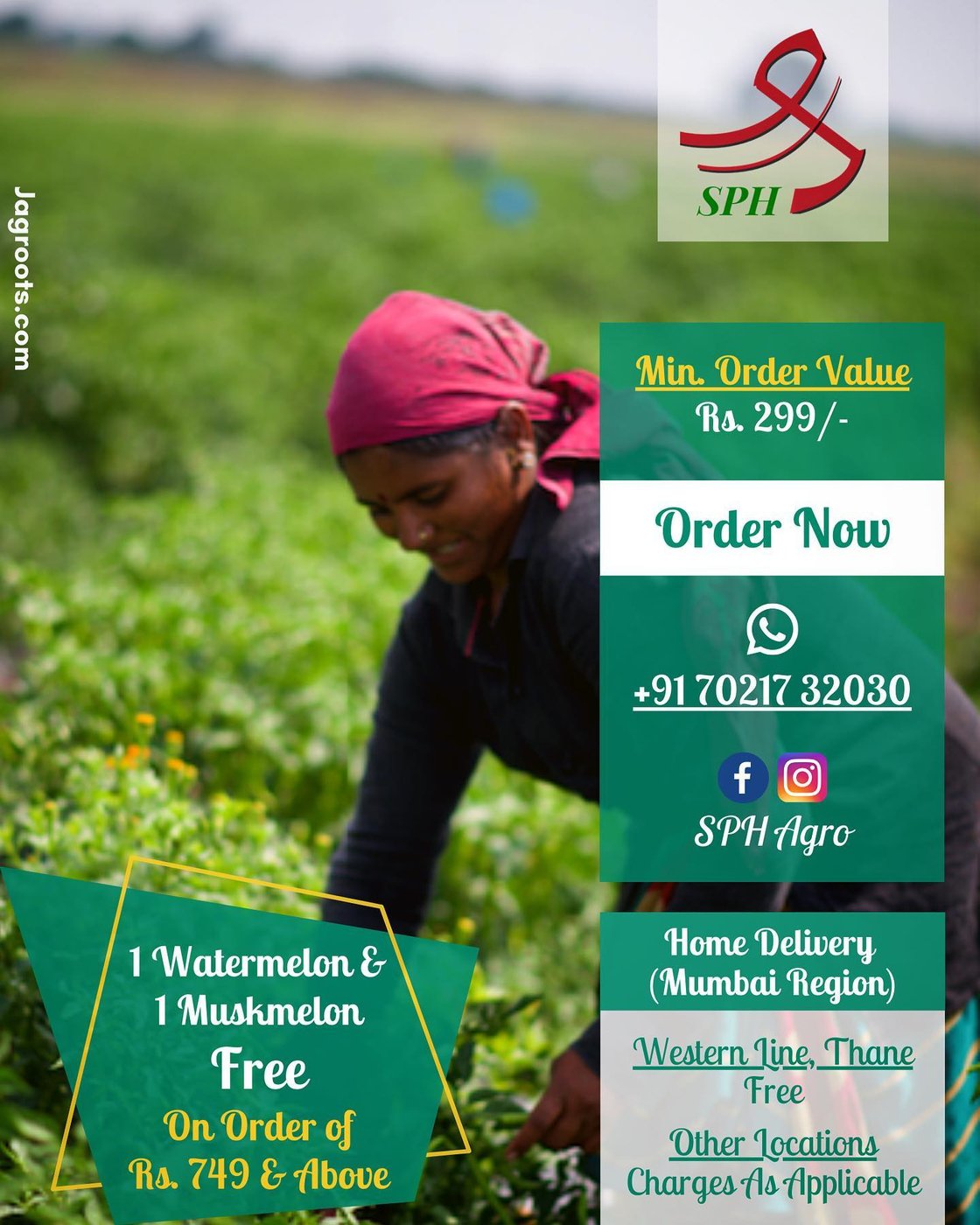 SPH Agro seasonal fruit offer