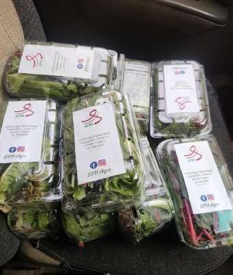 SPH Agro packaged vegetable punnets