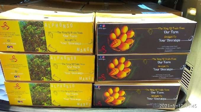 SPH Agro Alphonso mango packaging
