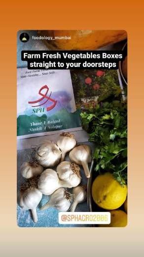 SPH Agro fresh produce story