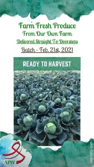 SPH Agro ready to harvest story