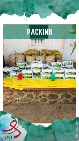 SPH Agro packing behind the scenes